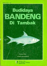 Budidaya Bandeng di Tambak