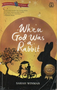 When God Was a Rabbit